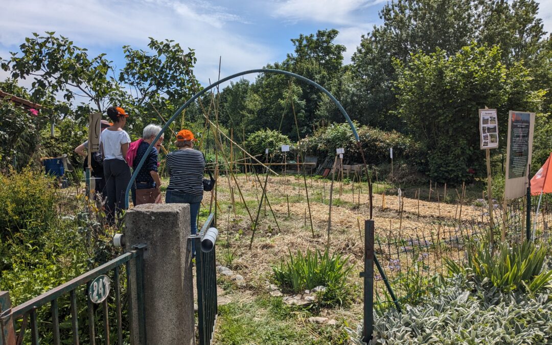 Festival des Terres Solidaires à LECTOURE (Gers)