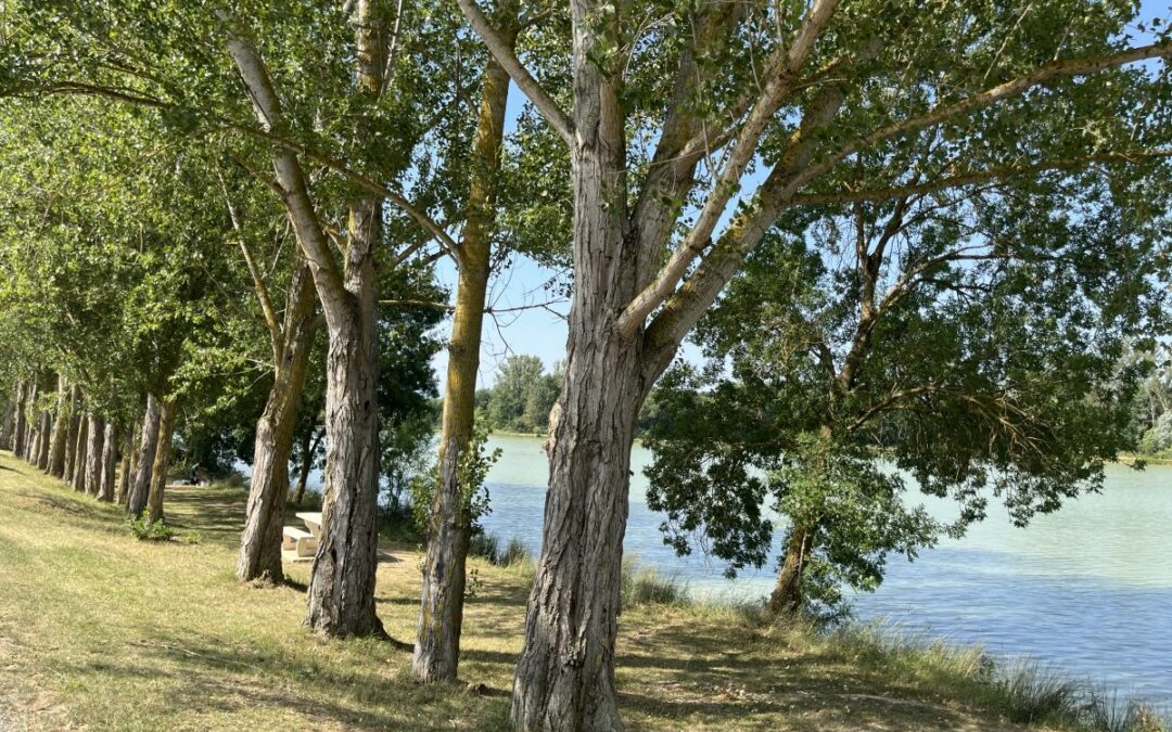 Marche Solidaire du 25 juillet 2026 à SAINT-YBARS